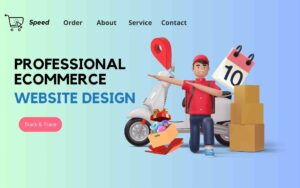 professional ecommerce website design